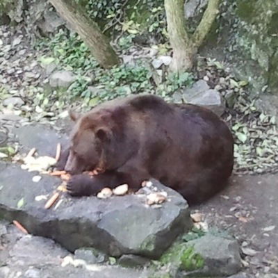 Савва Данилевский