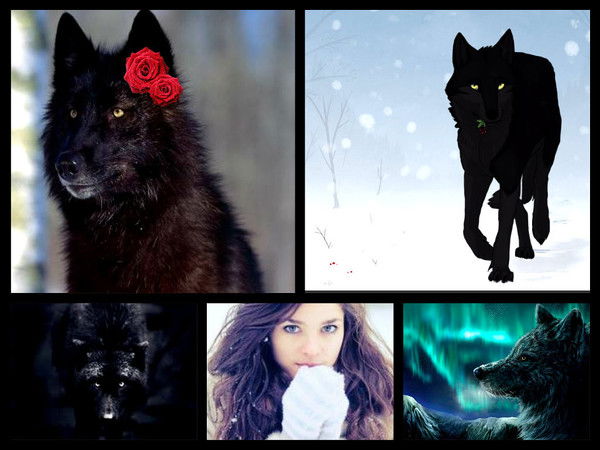 Чёрная Волчица Юки