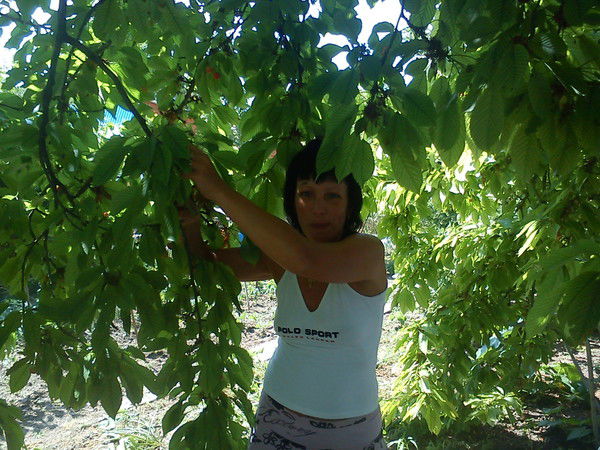 Катя Сухарина