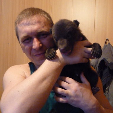 Денис Семенов