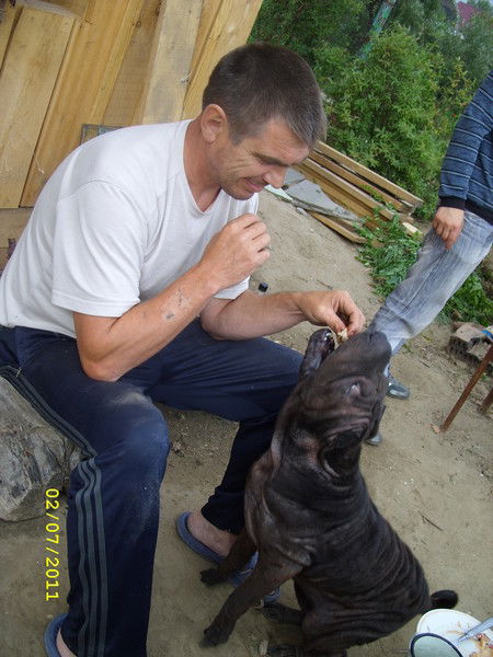 Юрий Шевцов