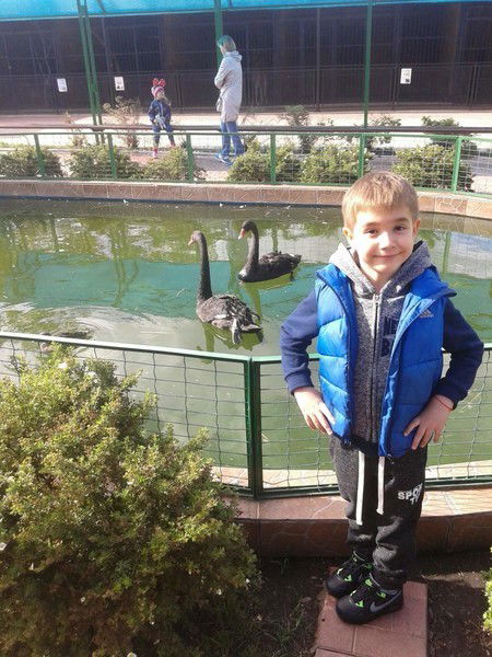 Антон Ботов