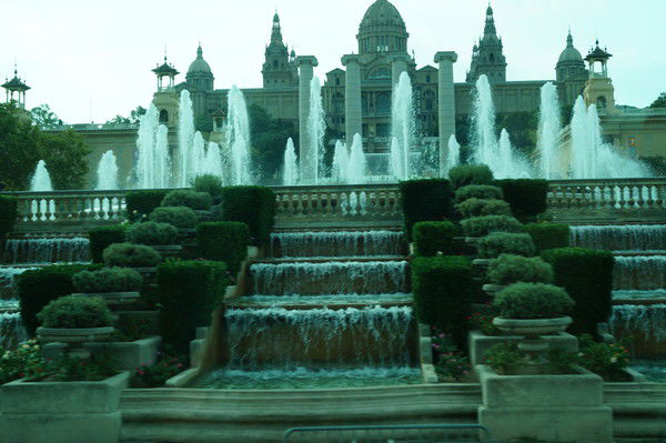 Елена Лушникова