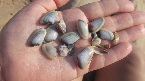 Альфия Хабибуллина(Султангирова)