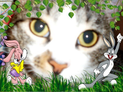 Лена Кулешина