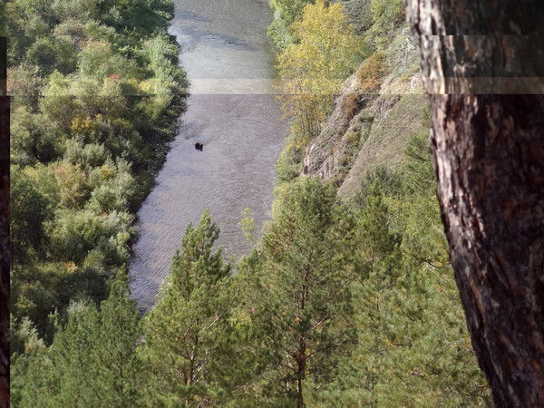 Ooo Энергоресурс Павел