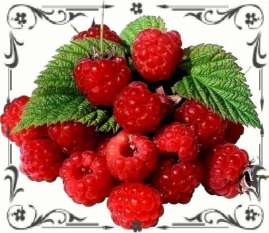 Светлана Тодышева