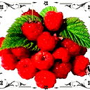Светлана Тодышева