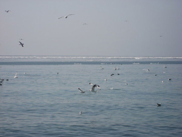 Галимжан Оразов