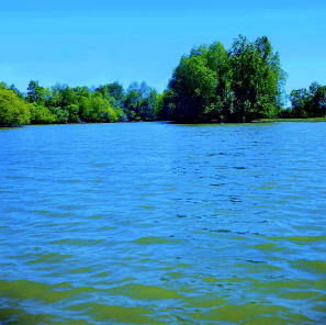 Даурен Муханов