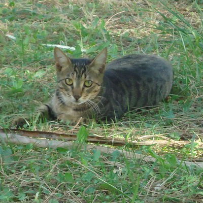 Валерия Миниярова