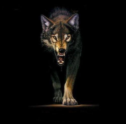 Одинокий Волк