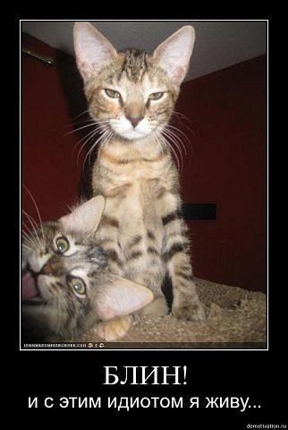 Андрей Майшук