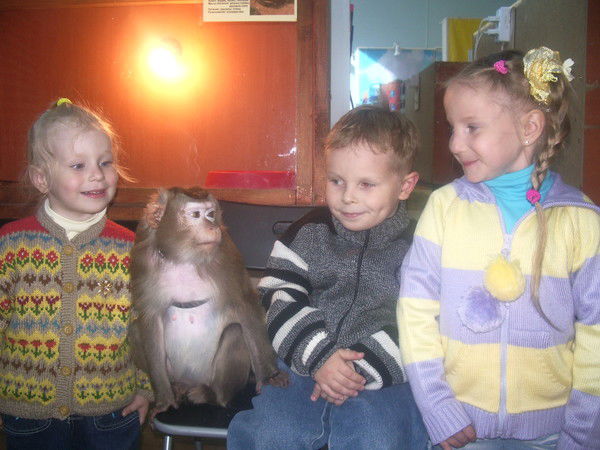 Наталья Синеок