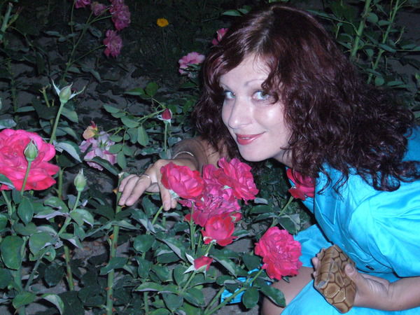 Еленеа Гайдукова