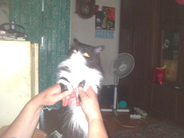 Николай Пешков