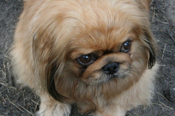 Ольга Зимина