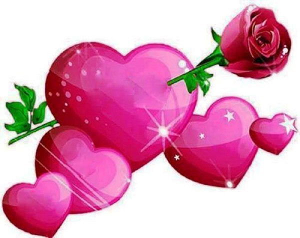 Неизвестно Неизвестно