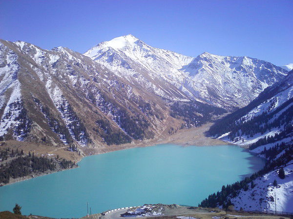 Ооо Оригинал-Плюс