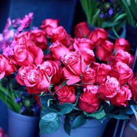 Анастасия Балякина