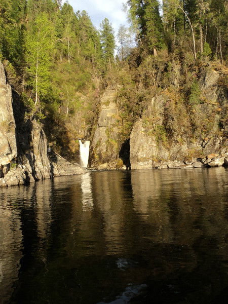 Антон Куренков