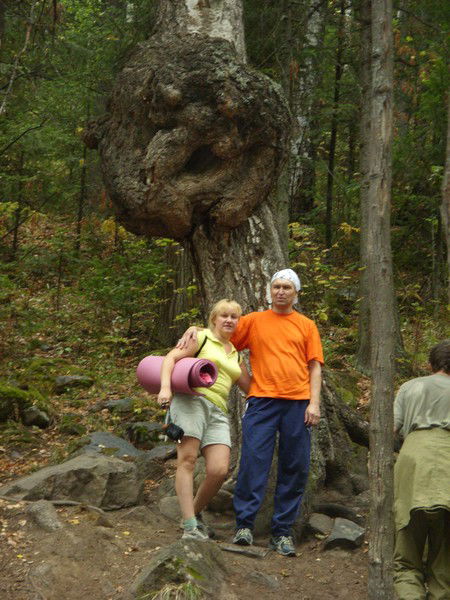 Неизвестно Неизвестно