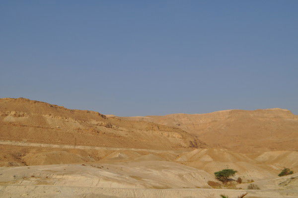 Сергей Певунов