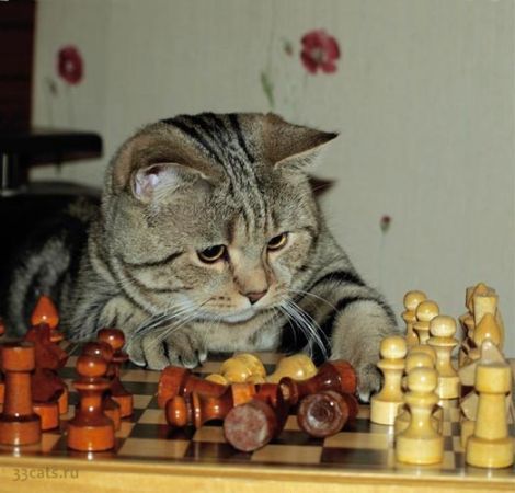 Вячеслав Валерьевич