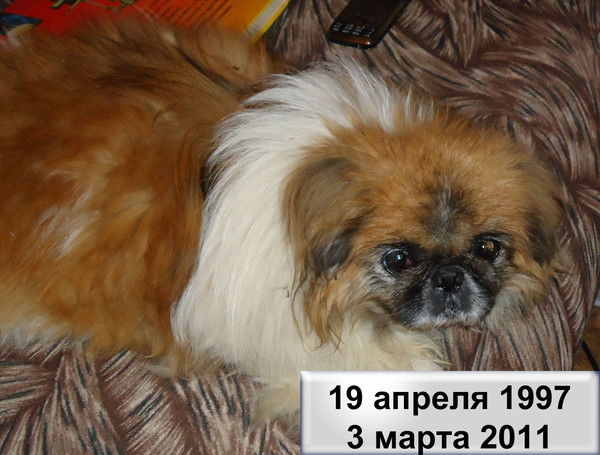 Алексей Рышкевич