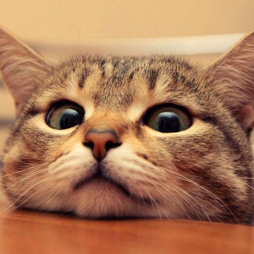 Наталья Егораева