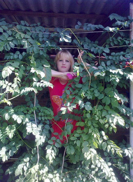 Елена Петренко