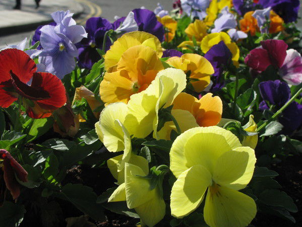 Оксана Масленникова