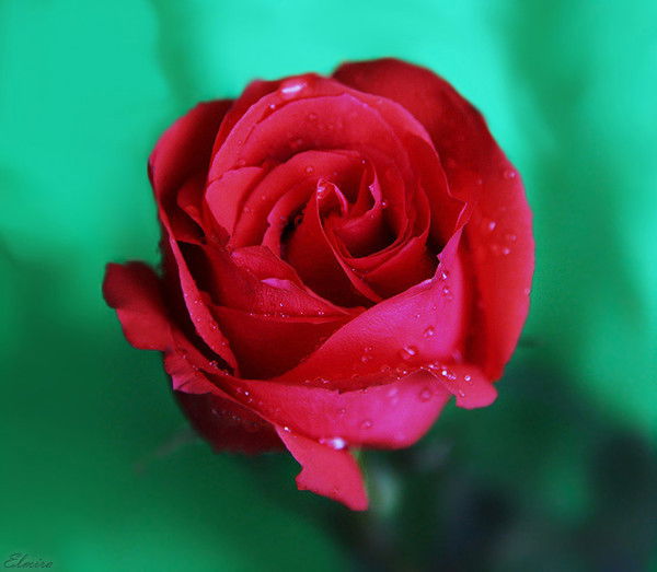 Нурзада Сыздыкова