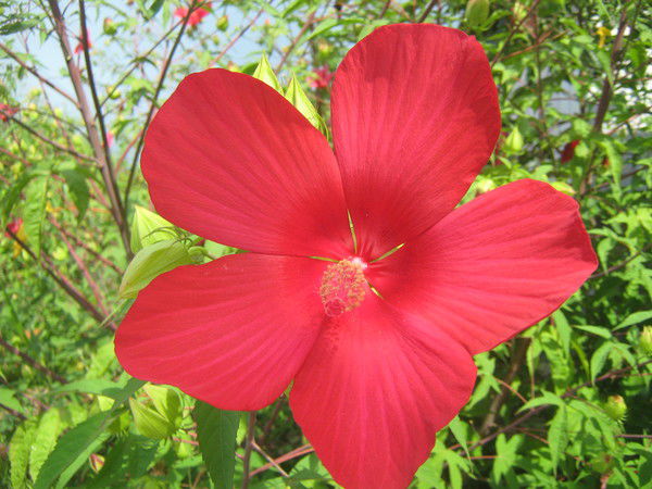 Гульнара Юсупова