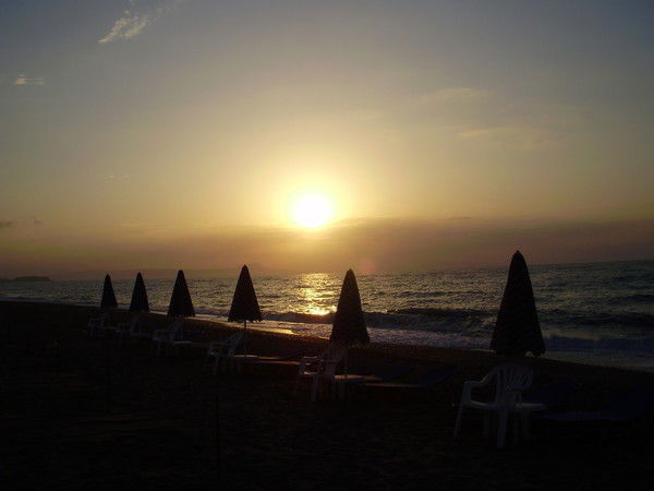 Cвета Чешегорова