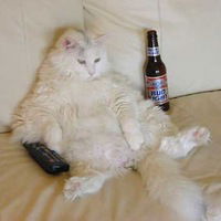 Вася Пупкин