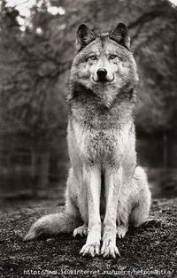 Анастасия Матушкина