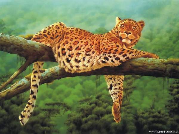 Света Ларькина