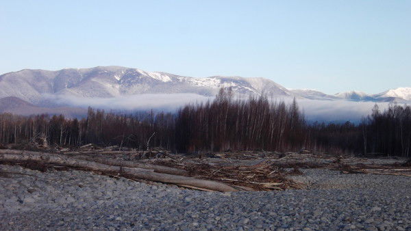 Александр Кузнецов