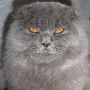 Алексей Соболев