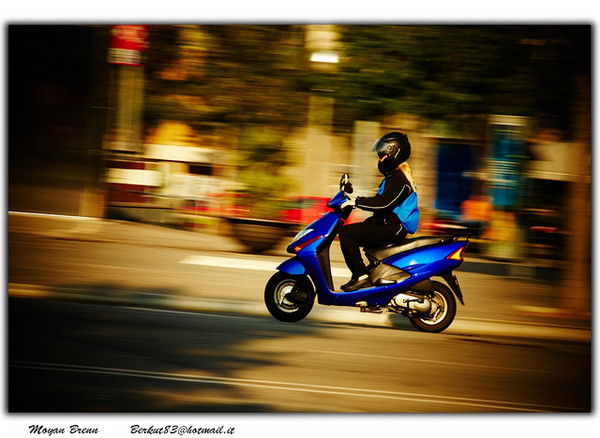 Владимир Перелыгин