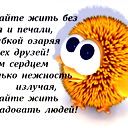 Владимир Жигалов