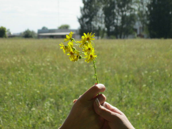 Анна Рузанова