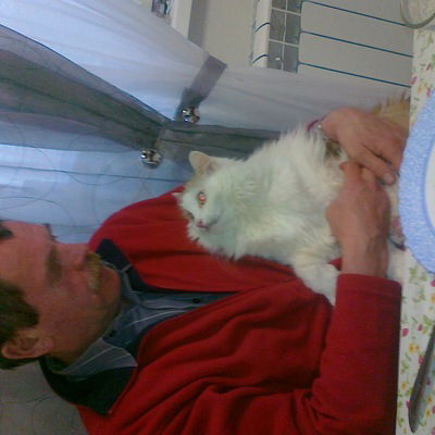 Владимир Алексеев