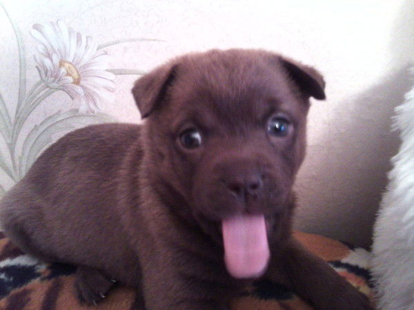 Виктория Кроха