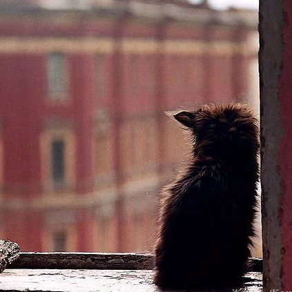 Кристина Гарага