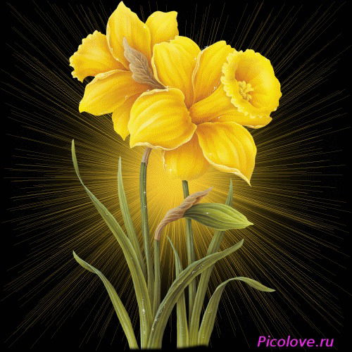 Карим Касымов