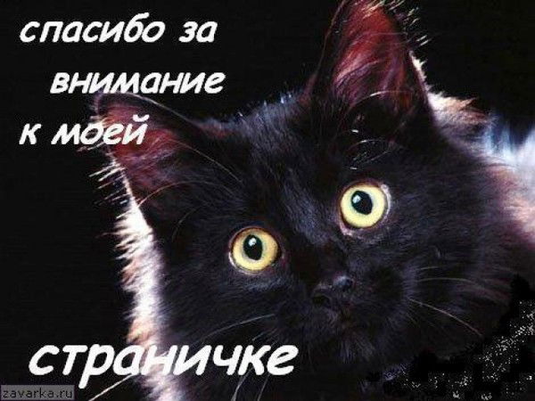 Наталья Жиганова