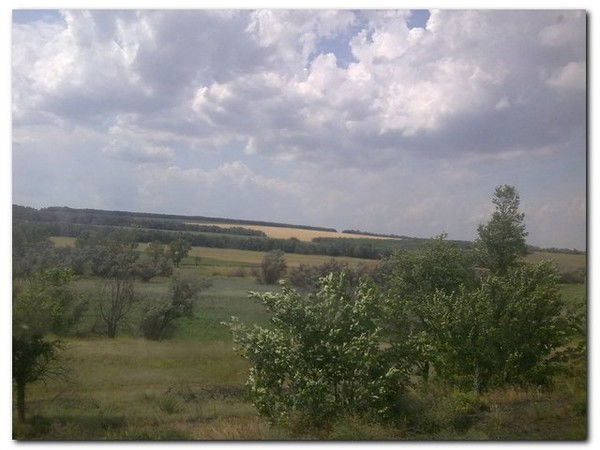 Альберт Звездин