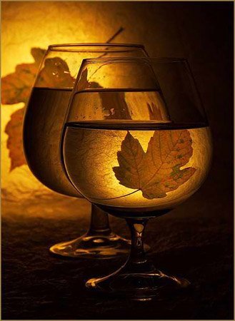 Настюша Захарова